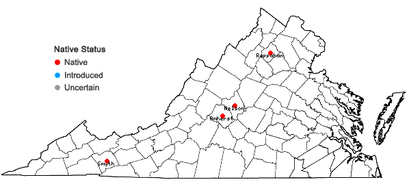 Locations ofDicranella rufescens (With.) Schimp. in Virginia