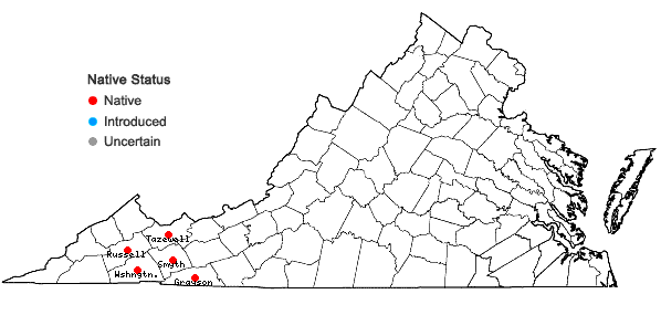 Locations ofDicranodontium asperulum (Mitt.) Broth. in Virginia