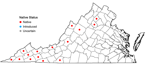 Locations ofDicranodontium denudatum (Brid.) E. Britton in Virginia