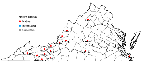 Locations ofDicranum bonjeanii De Notaris in Virginia