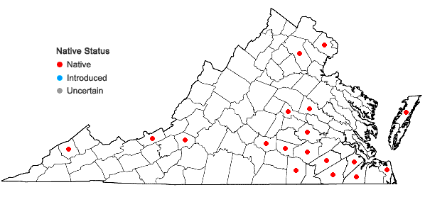 Locations ofDicranum condensatum Hedw. in Virginia