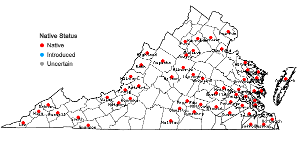 Locations ofDicranum flagellare Hedwig in Virginia