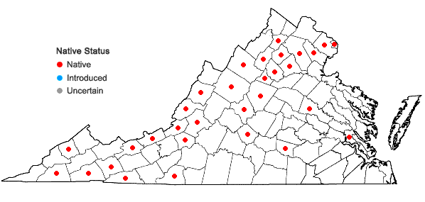 Locations ofDicranum fulvum Hooker in Virginia