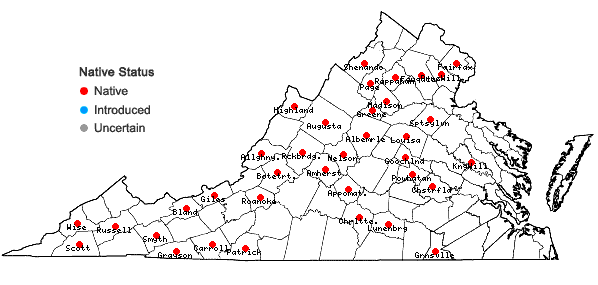 Locations ofDicranum montanum Hedwig in Virginia