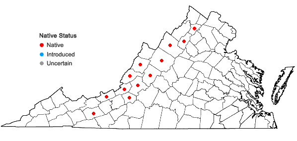 Locations ofDicranum polysetum Swartz in Virginia