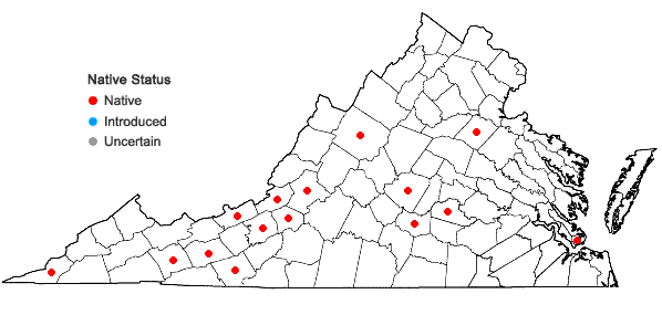 Locations ofDicranum spurium Hedwig in Virginia