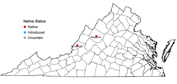 Locations ofDicranum undulatum Schrad. ex Brid. in Virginia