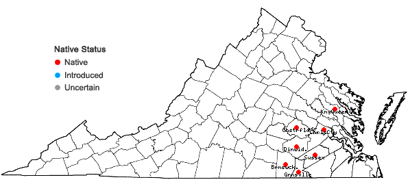 Locations ofDidiplis diandra (Nutt. ex DC.) Wood in Virginia