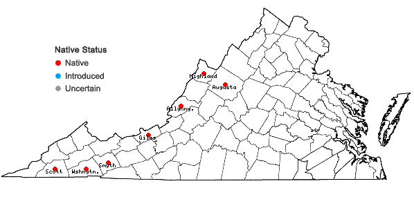 Locations ofDidymodon fallax (Hedw.) R.H. Zander  in Virginia