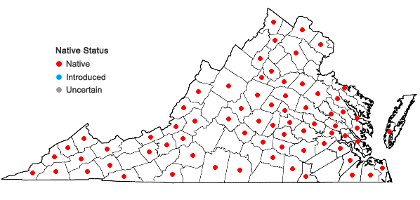 Locations ofDigitaria ciliaris (Retz.) Koeler in Virginia