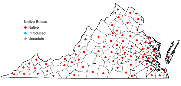 Locations ofDigitaria ciliaris (Retz.) Koeler in Virginia