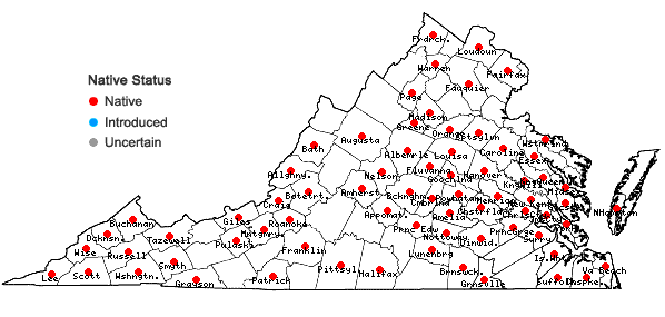 Locations ofDigitaria ciliaris (Retz.) Koeler in Virginia