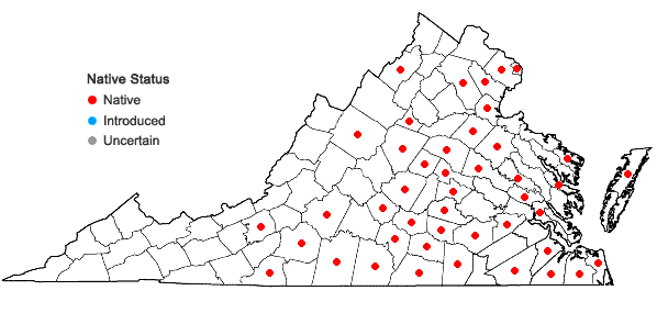 Locations ofDigitaria filiformis (L.) Koeler var. filiformis in Virginia