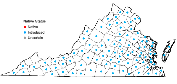 Locations ofDigitaria ischaemum (Schreb.) Muhl. in Virginia