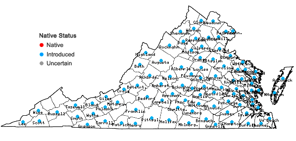 Locations ofDigitaria ischaemum (Schreb.) Muhl. in Virginia