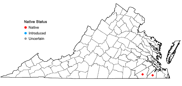 Locations ofDigitaria serotina (Walt.) Michx. in Virginia