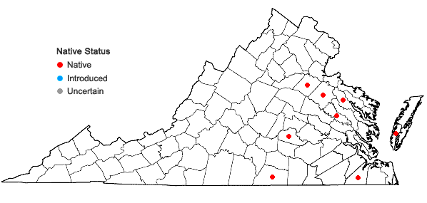 Locations ofDigitaria villosa (Walt.) Pers. in Virginia