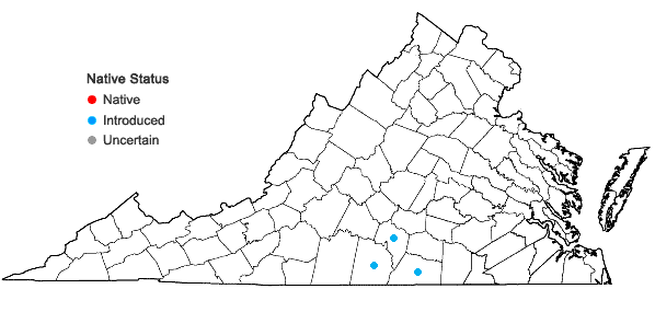 Locations ofDinebra panicoides (J. Presl.) P.M. Peterson & N. Snow in Virginia