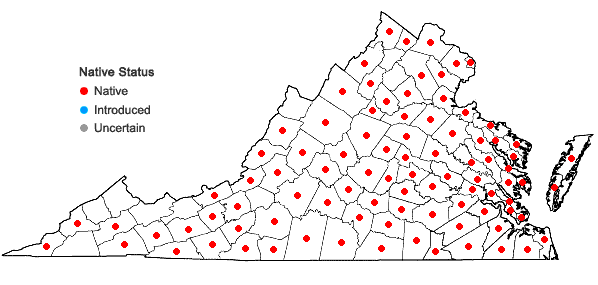 Locations ofDiodia teres Walt. in Virginia