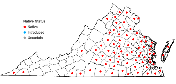Locations ofDiodia virginiana L. in Virginia