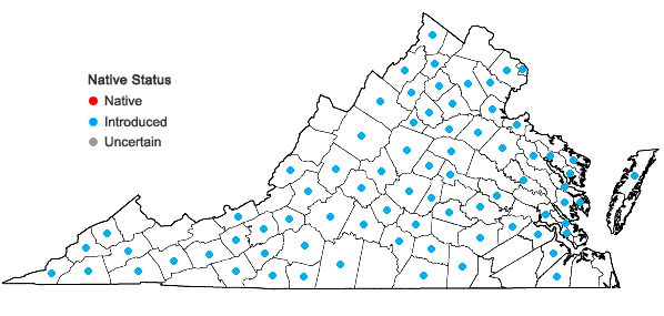Locations ofDioscorea polystachya Turczaninow in Virginia