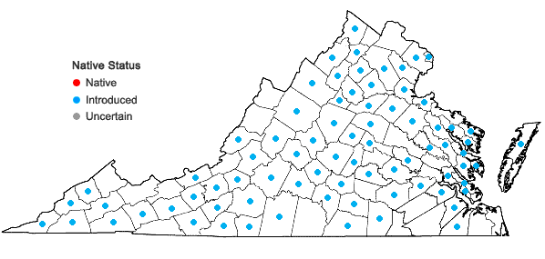 Locations ofDioscorea polystachya Turczaninow in Virginia