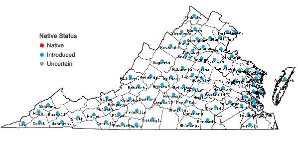 Locations ofDioscorea polystachya Turczaninow in Virginia