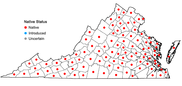 Locations ofDioscorea villosa L. in Virginia