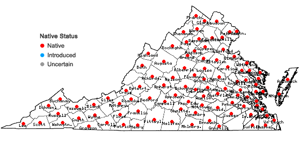 Locations ofDioscorea villosa L. in Virginia