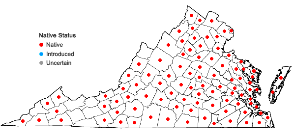 Locations ofDiospyros virginiana L. in Virginia