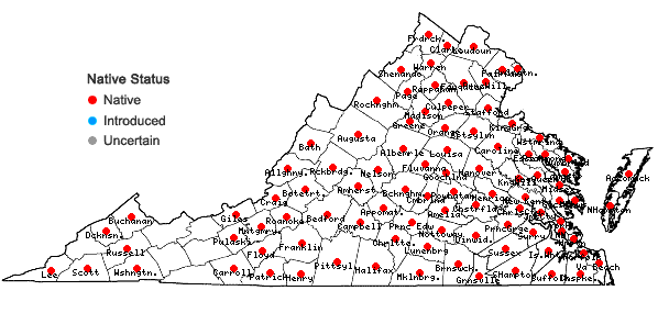 Locations ofDiospyros virginiana L. in Virginia