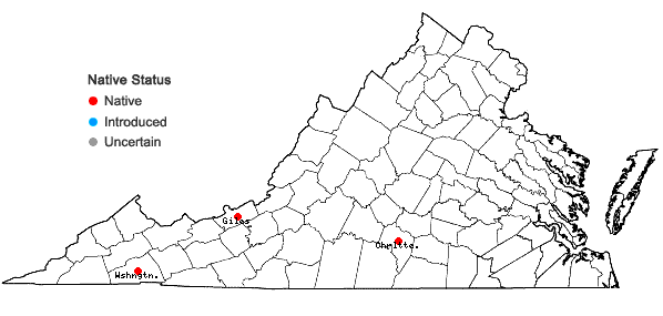 Locations ofDiphasiastrum × habereri (House) Holub in Virginia