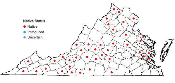 Locations ofDiplophyllum apiculatum (A. Evans) Steph. in Virginia