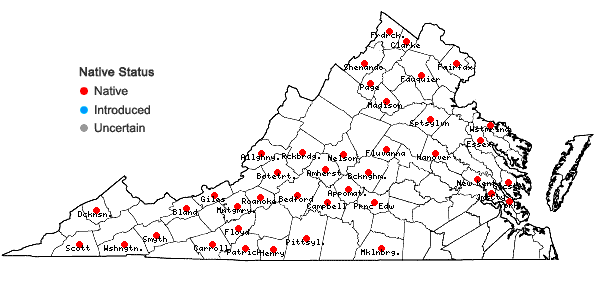 Locations ofDiplophyllum apiculatum (A. Evans) Steph. in Virginia