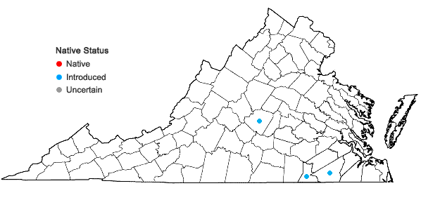 Locations ofDiplotaxis tenuifolia (Linnaeus)A. P. DeCandolle in Virginia