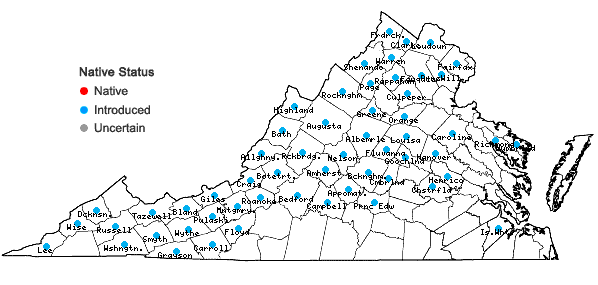 Locations ofDipsacus fullonum L. in Virginia