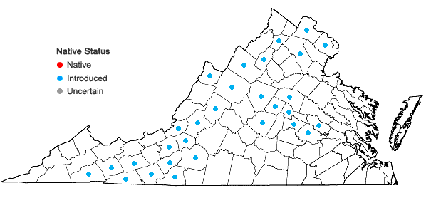 Locations ofDipsacus laciniatus L. in Virginia