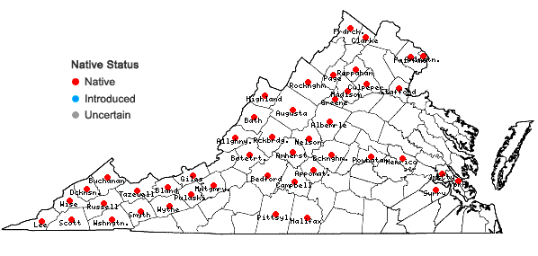 Locations ofDirca palustris L. in Virginia