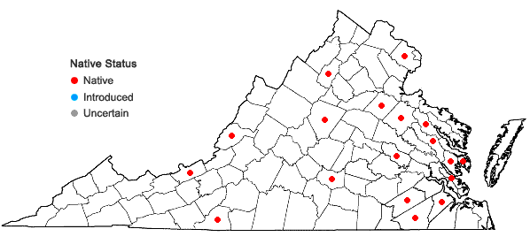 Locations ofDitrichum lineare (Sw.) Lindb. in Virginia