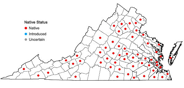 Locations ofDitrichum pallidum (Hedw.) Hampe in Virginia