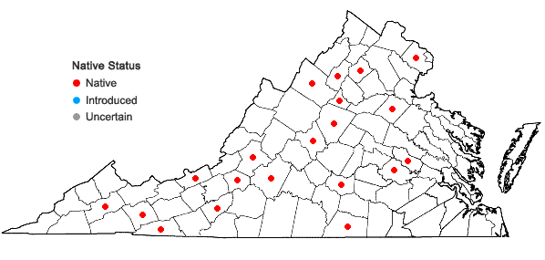 Locations ofDitrichum pusillum (Hedw.) Hampe in Virginia