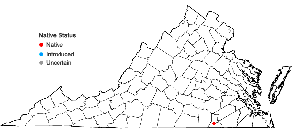 Locations ofDitrichum rhynchostegium Kindb. in Virginia