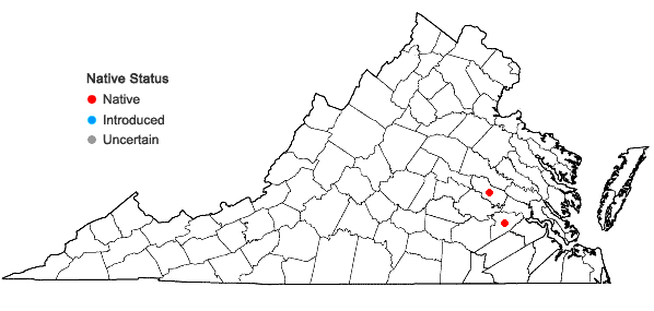 Locations ofDoellingeria sericocarpoides Small in Virginia