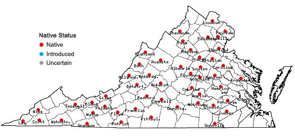 Locations ofDoellingeria umbellata (P. Mill.) Nees var. umbellata in Virginia