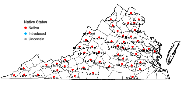 Locations ofDoellingeria umbellata (P. Mill.) Nees var. umbellata in Virginia