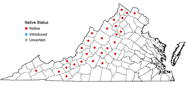 Locations ofDraba ramosissima Desvaux in Virginia