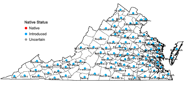 Locations ofDraba verna Linnaeus in Virginia