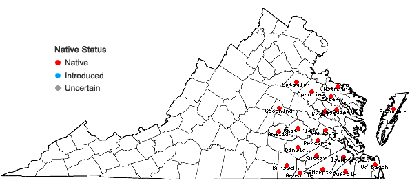 Locations ofDrosera capillaris Poir. in Virginia