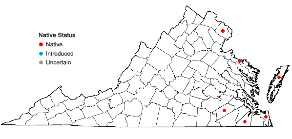 Locations ofDrosera intermedia Hayne in Virginia