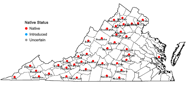 Locations ofDrummondia prorepens (Hedw.) E. Britton in Virginia
